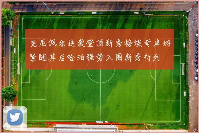 克尼佩尔逆袭登顶新秀榜埃奇库姆紧随其后哈珀强势入围新秀行列